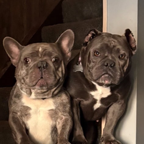Bo and Penny