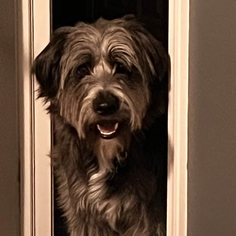 Millie