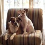 Ivy and Phoebe