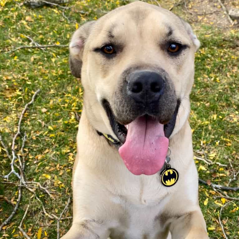 Duke