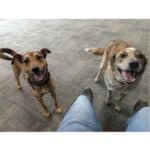 Coda and Trigger