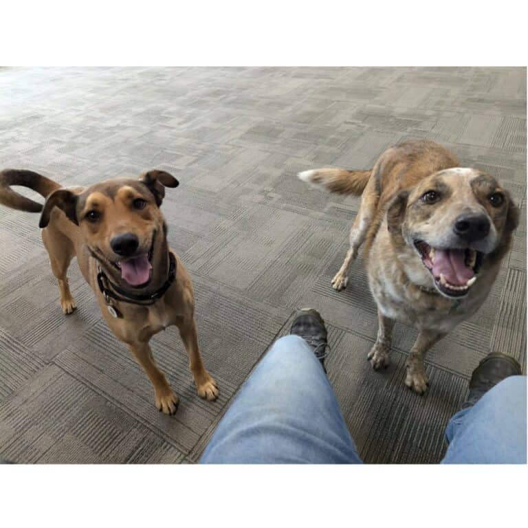 Coda and Trigger